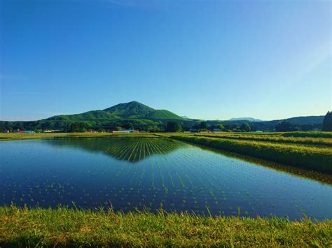 番筧水|番水の仕組み – 大崎耕土「世界農業遺産」